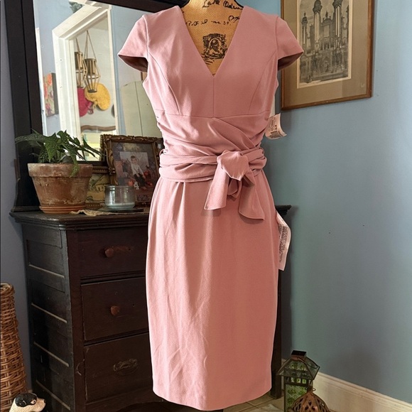 Dress the Population “Dana” Shirred Waist Dress in Light Mauve Size Medium NWT - Picture 2 of 16